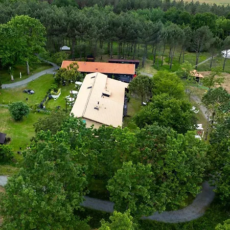 L Ost In Sensations -hebergements Insolites Et De Luxe Sauna Piscine Foret Lodge