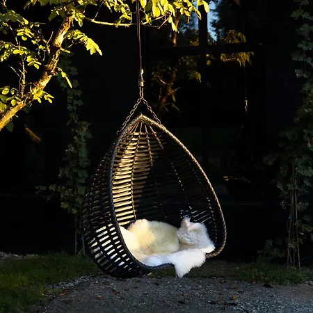 Chata L Ost In Sensations -hebergements Insolites Et De Luxe Sauna Piscine Foret Marcenais
