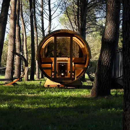 L Ost In Sensations -hebergements Insolites Et De Luxe Sauna Piscine Foret Chata Marcenais