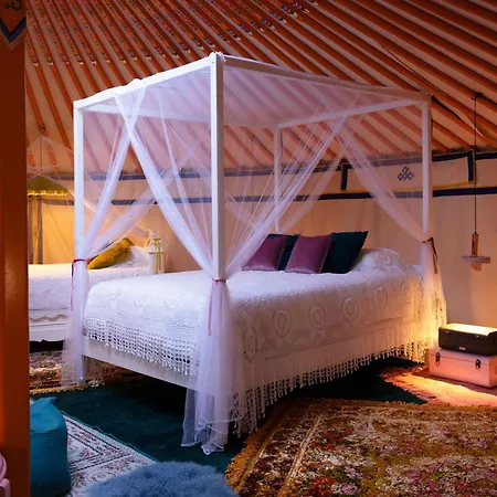 L Ost In Sensations -hebergements Insolites Et De Luxe Sauna Piscine Foret Marcenais