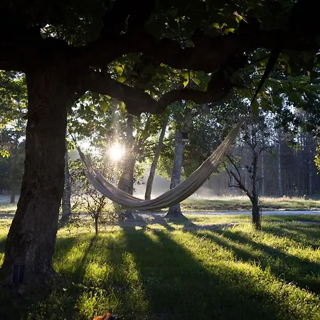 L Ost In Sensations -hebergements Insolites Et De Luxe Sauna Piscine Foret Chata